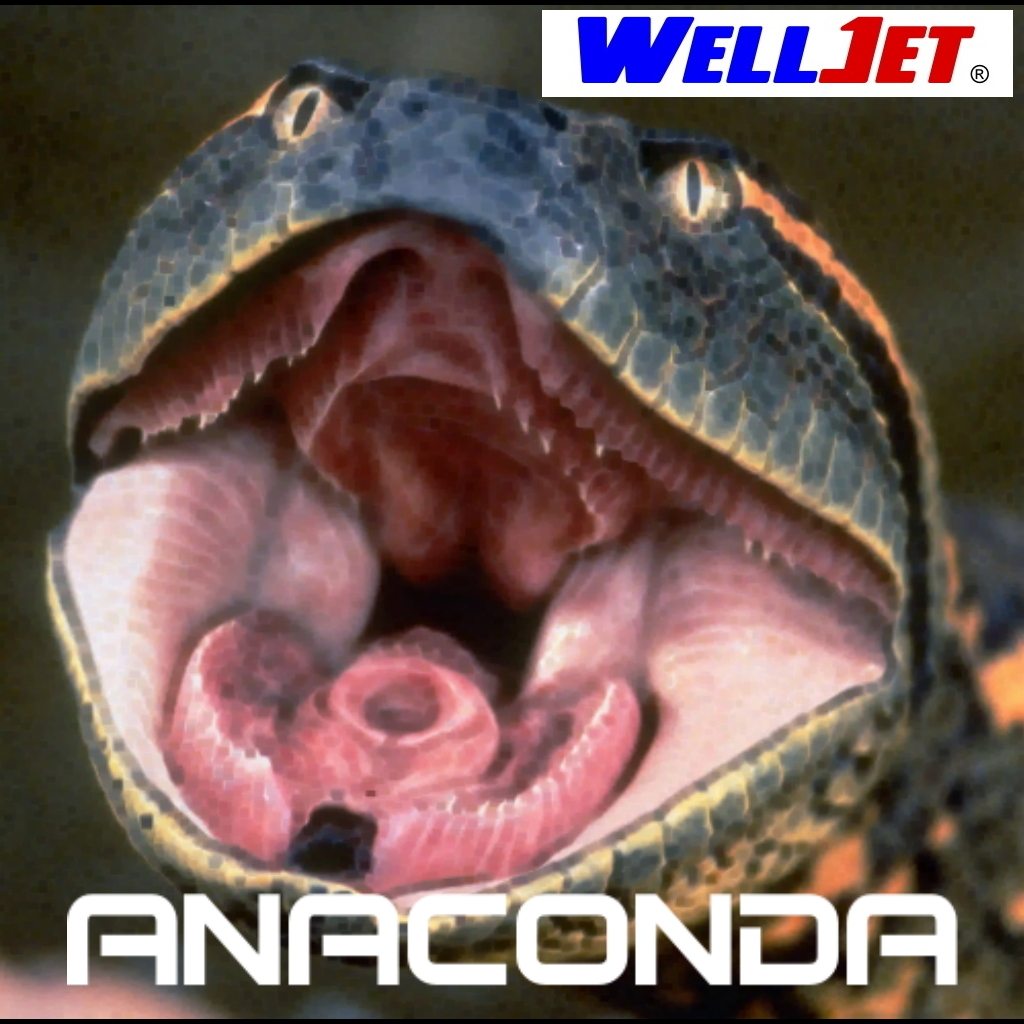 Anaconda Final decal.